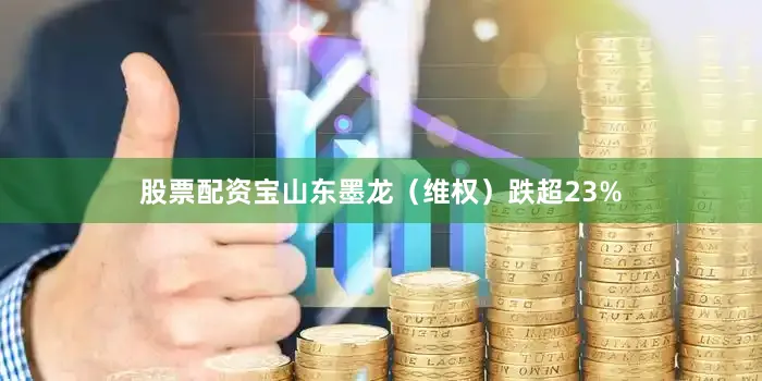 股票配资宝山东墨龙（维权）跌超23%