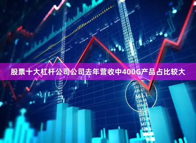股票十大杠杆公司公司去年营收中400G产品占比较大