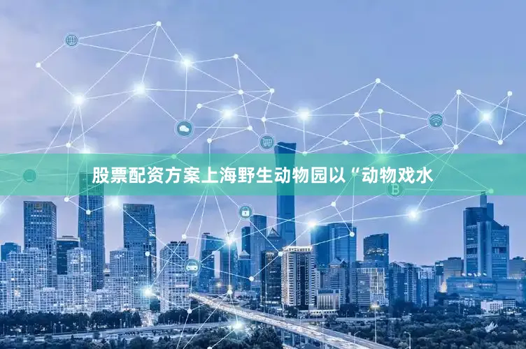 股票配资方案上海野生动物园以“动物戏水